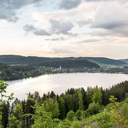 Ferienwohnung Sonnenglueck Mit Grosszuegigem Suedbalkon Lenzkirch Extérieur photo