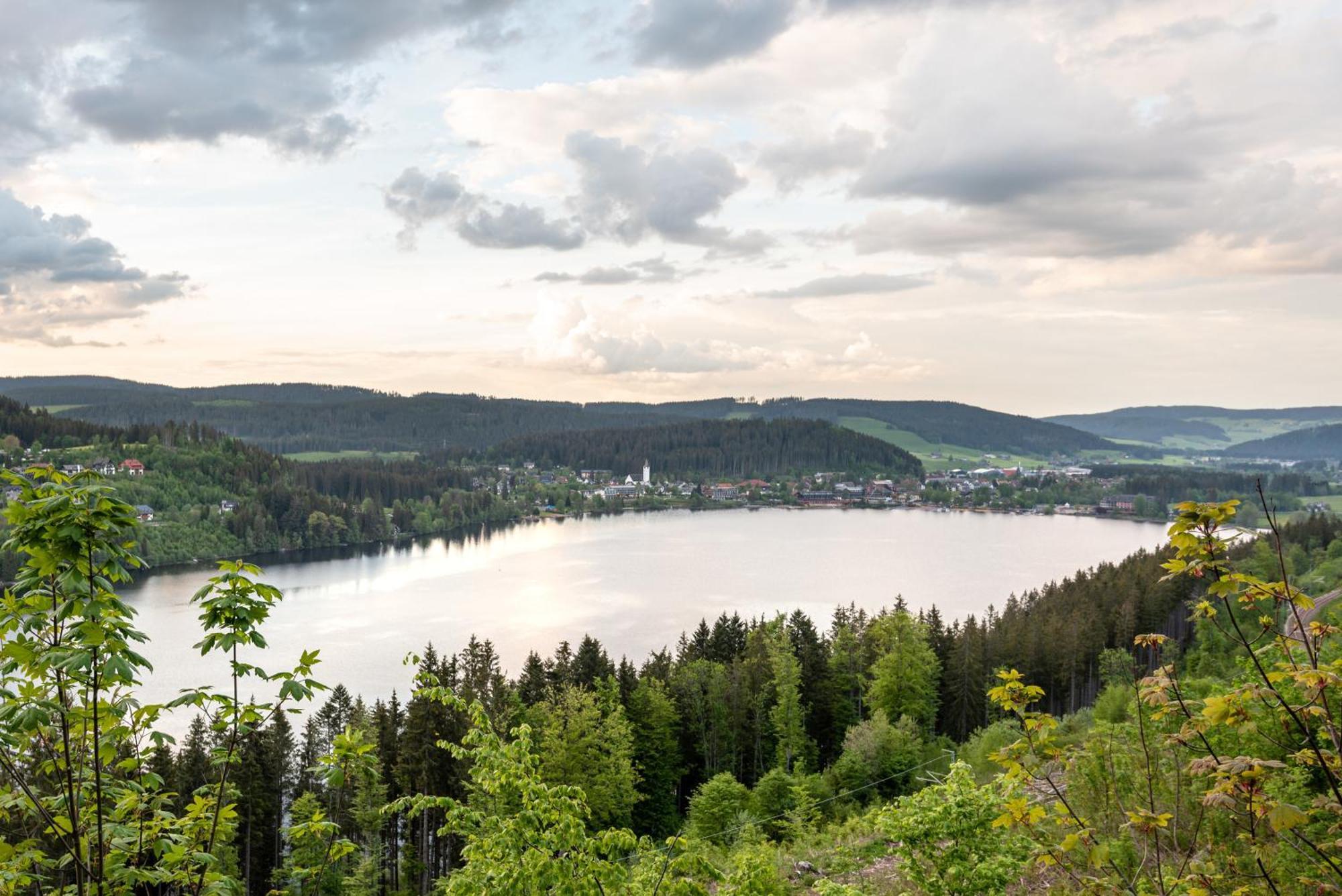 Ferienwohnung Sonnenglueck Mit Grosszuegigem Suedbalkon Lenzkirch Extérieur photo